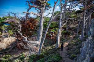 Point Lobos-9917.jpg